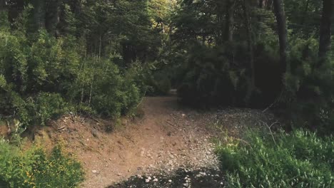 Flow-of-a-river-in-the-Andes-mountain-around-the-valley-of-Las-Trancas-near-the-Chillan-hot-springs-in-Chile,-very-green-scenery-with-lots-of-nature-around