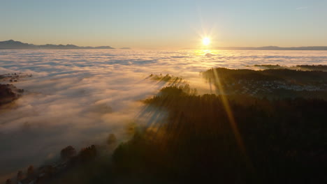 los bosques de la meseta suiza no lejos del pueblo de savigny y toda la región del lago de ginebra bajo una capa de niebla