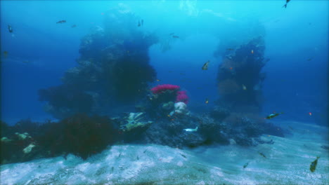 impresionante vista submarina de un arrecife de coral con peces vibrantes