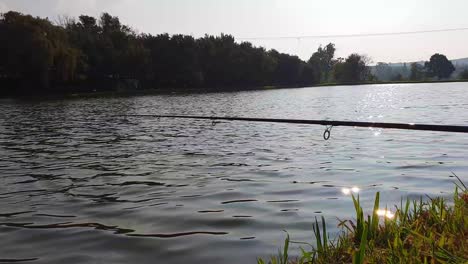 a fishing rod viewed from the side overlooking a pond with the sunlight reflecting off the water