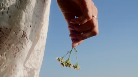 A-tine-white-flower-in-hand-of-a-woman-in-a-white-dress-over-a-blue-sky