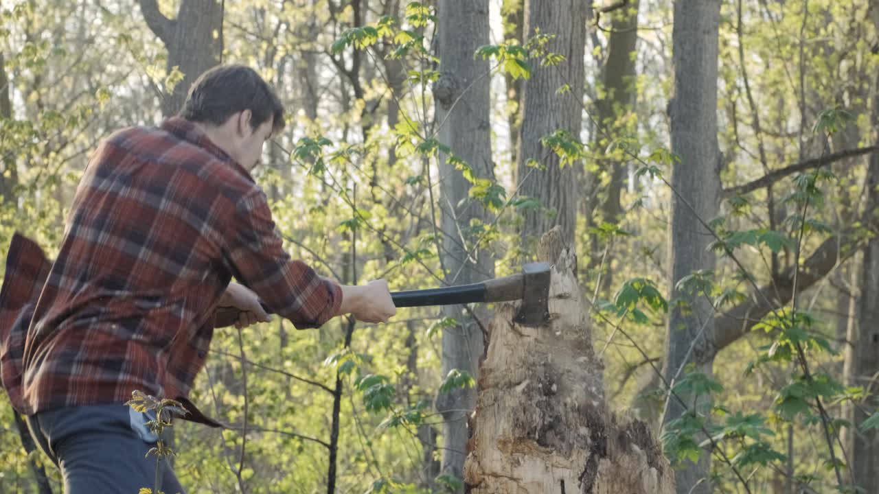 Slow motion shot of a lumberjack chopping at a tree stump