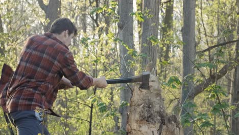 slow motion shot of a lumberjack chopping at a tree stump