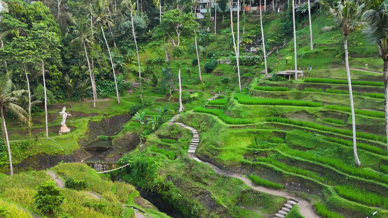 Vista aerea con drone delle terrazze di riso verdi di Tegallalang a Bali, Indonesia, famosa destinazione turistica, immagine introduttiva