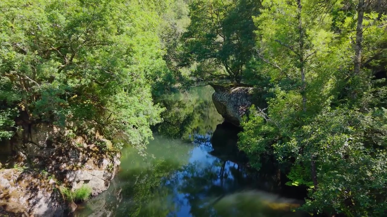 Fitte foreste attraverso il tranquillo fiume Deza in Galizia, Spagna. Ripresa aerea in allontanamento.