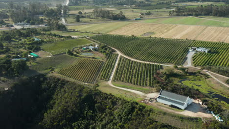 Panorama-Von-Grünem-Ackerland-In-Der-Landschaft-Von-Kapstadt-In-Südafrika