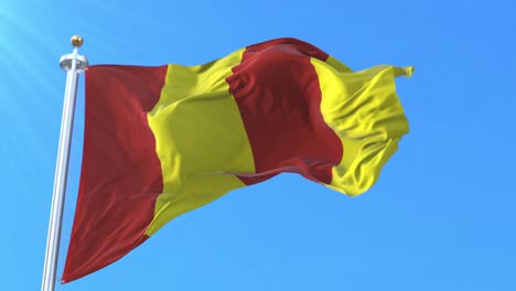 bandera del voivodato de lodz, polonia. bucle