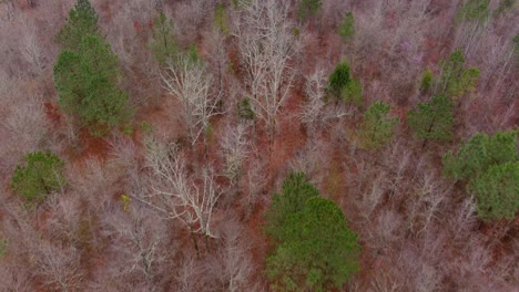 aerial of wooded forest area in eatonton, georgia