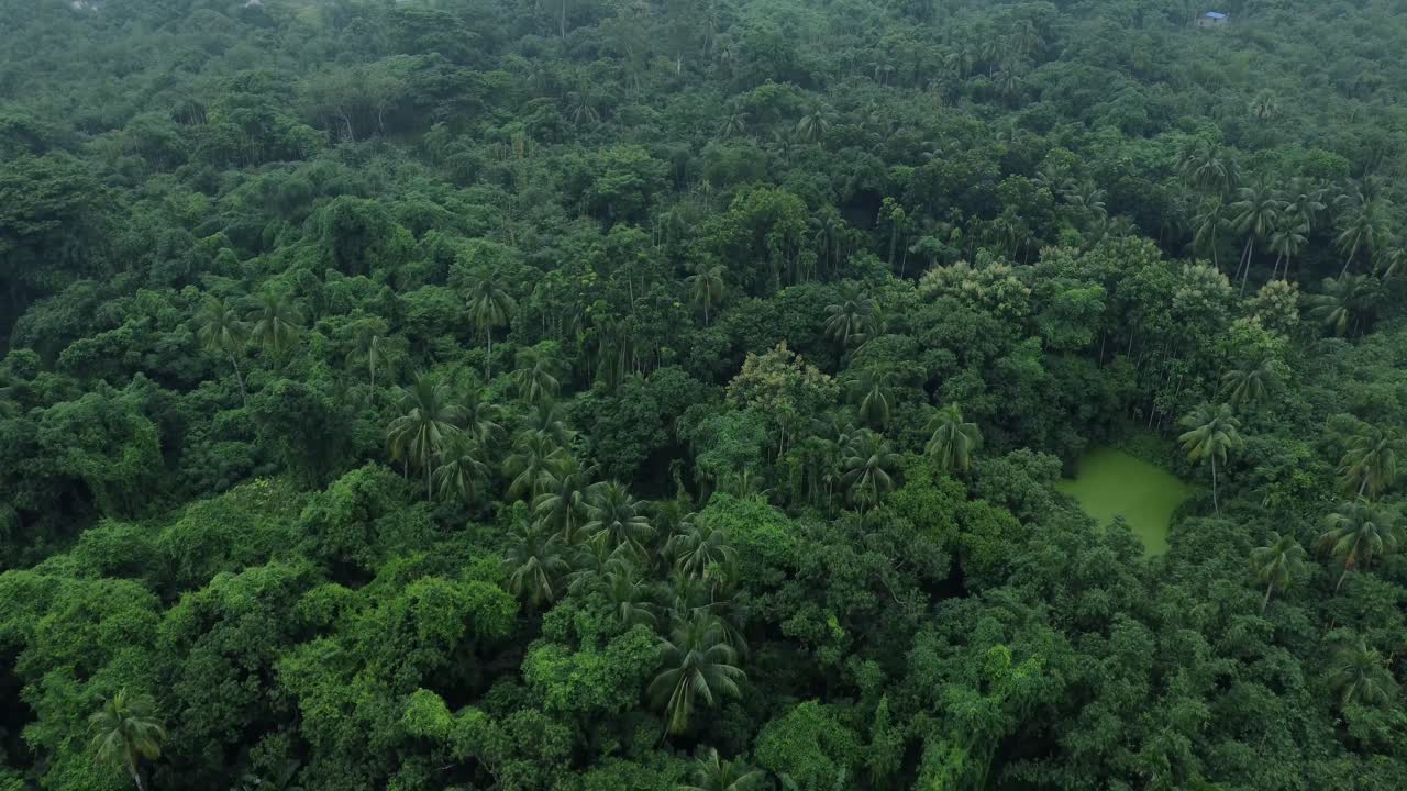 en la temporada de lluvias, el este de la india recibe fuertes lluvias durante la temporada de lluvias
