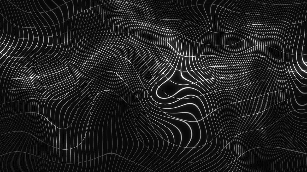 Abstract Black and White Grid Pattern