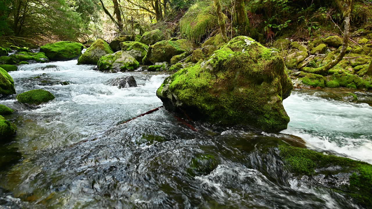 Vibrant Colorful Elk River In Southern Oregon With Streaming Water And Mossy Rocks - static, close up
