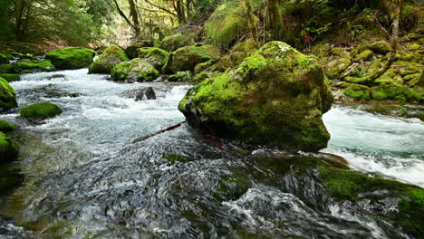 Vibrant-Colorful-Elk-River-In-Southern-Oregon-With-Streaming-Water-And-Mossy-Rocks---static,-close-up