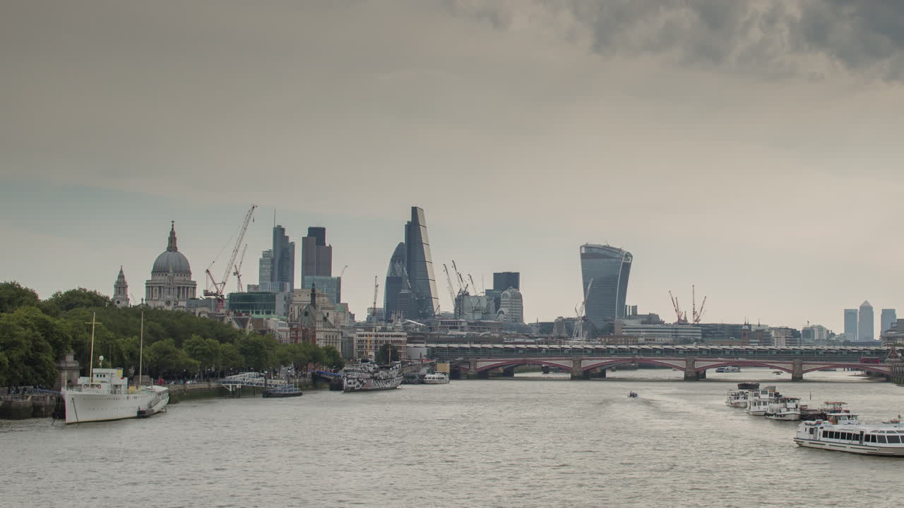 작은 오이 아침 4k 07