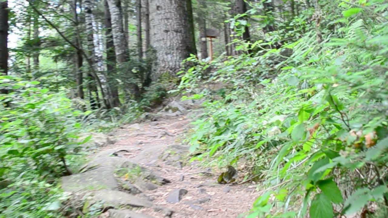 Stones in mountains . Shooting in the movement