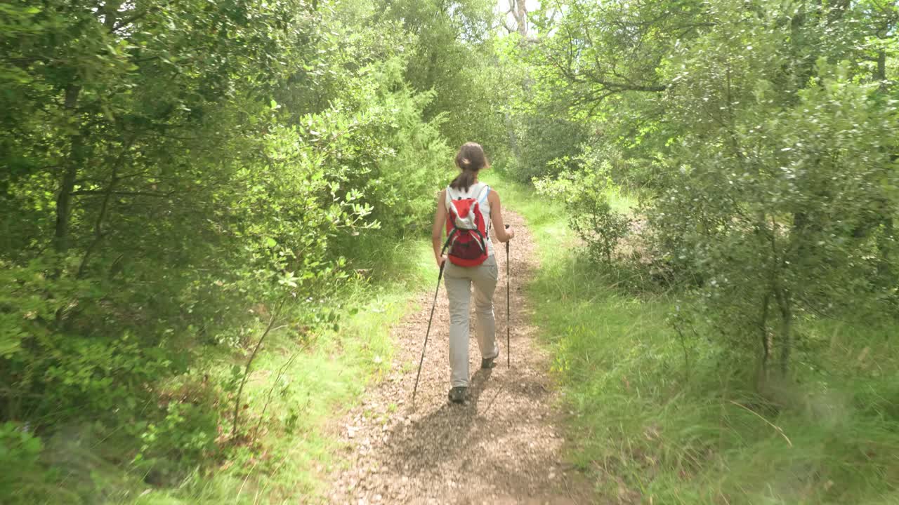una hermosa mujer excursionista con bastones de senderismo y una mochila caminando por un bosque verde y soleado en la campiña francesa