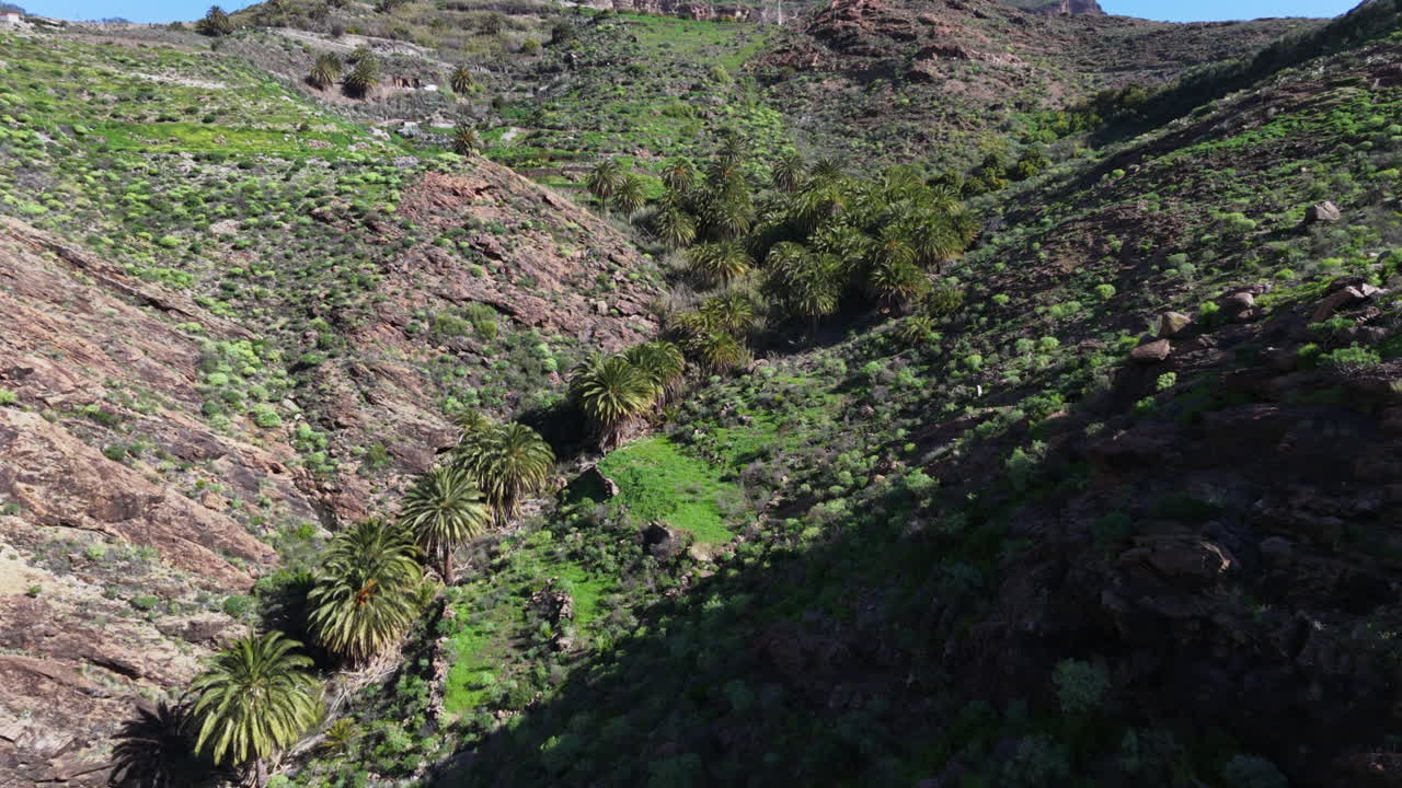 Veduta aerea di una lussureggiante valle verde con palme incastonata tra montagne rocciose in una giornata di sole.