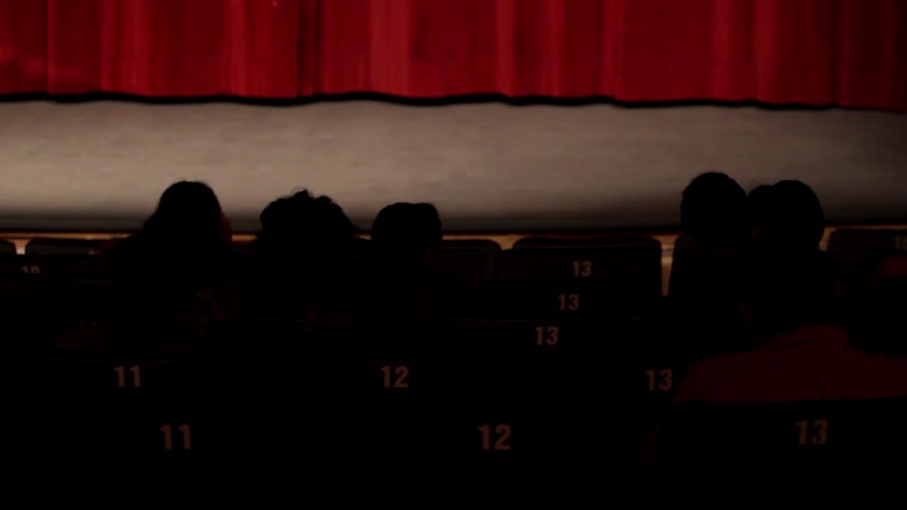 silhouettes of people sitting in a theater waiting to the actors to come out, row of numbered seats in the dark