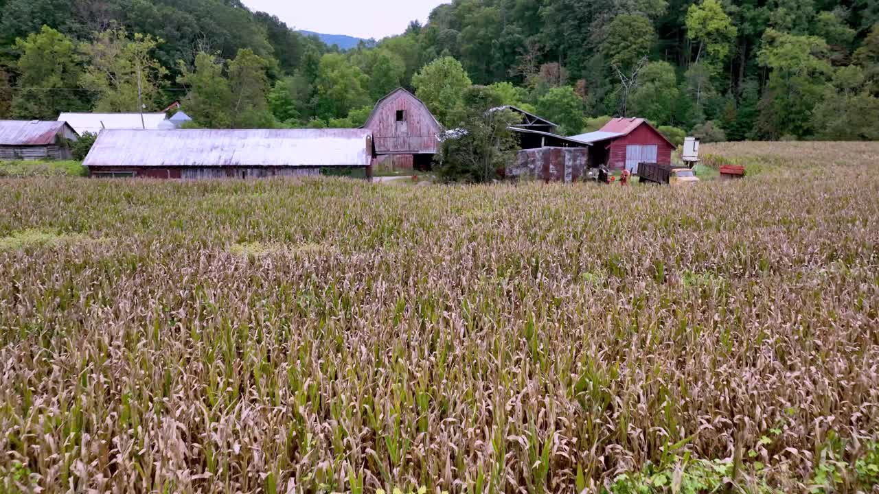 애팔라치아의 마운틴 시티 테네시 근처의 오래된 홈스테이드로 이어지는 옥수수  ⁇  위의 공중
