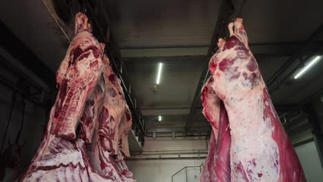 fresh animal meats hanging in a slaughterhouse