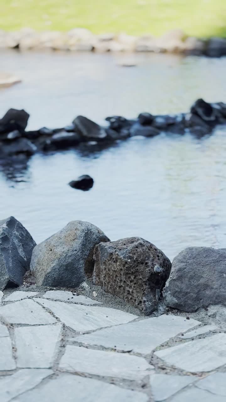 Gentle Ripples on Garden Pond Water