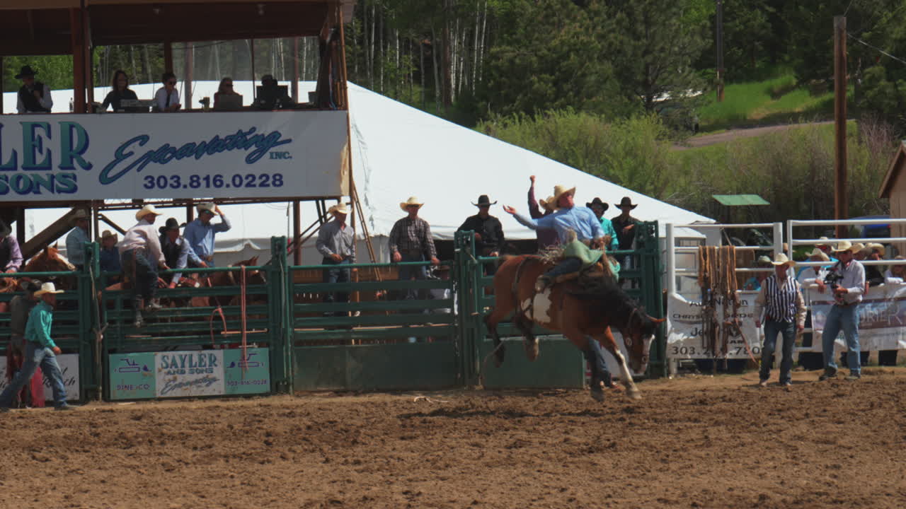 siempre verde rodeo colorado tradición de montaña vaqueros profesionales caballo toro montando ee.uu. bucking seguir pan a la derecha americano silla de montar aficionados multitud animando evento día de verano caliente