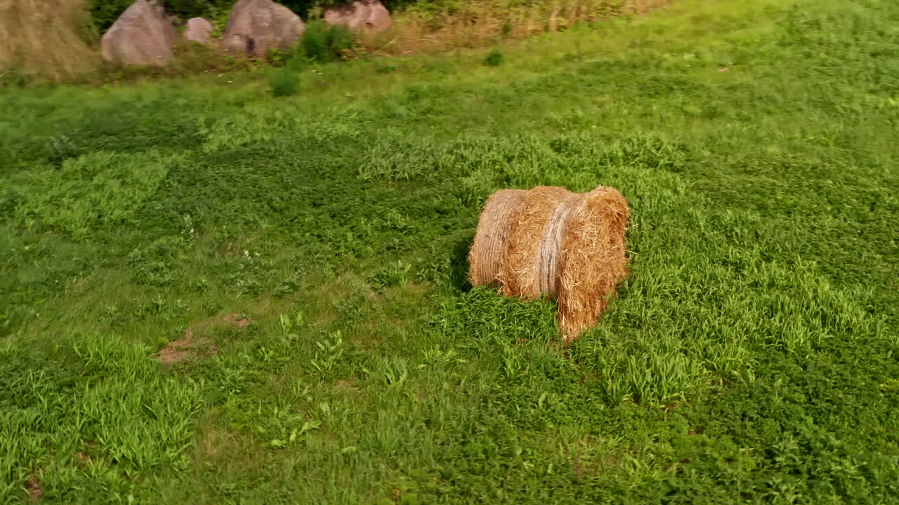volando alrededor de un pajar sobre la hierba verde