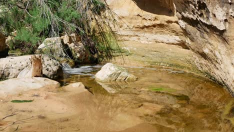 arroyo que fluye sobre rocas y crea erosión natural a medida que el agua desciende por la montaña