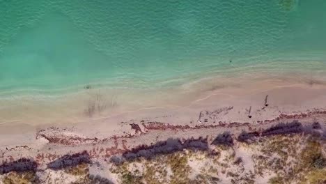 aerial vertical view of sandy shoreline with people and dof walking