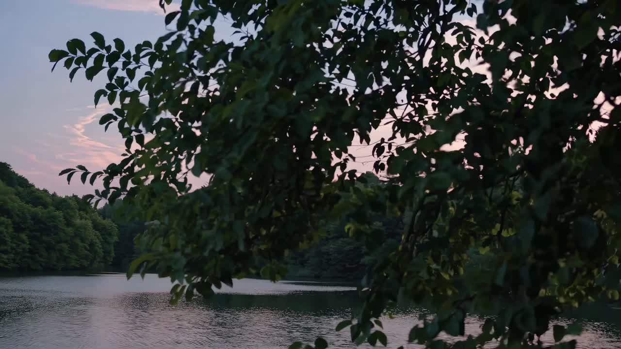 A serene video capturing a tranquil lake at sunset, framed by lush foliage