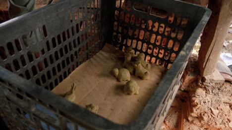 Artesanos-En-Thanh-Ha-Colocan-Flautas-De-Arcilla-Secadas-Al-Sol-En-Un-Horno-De-Leña-Para-Cocerlas