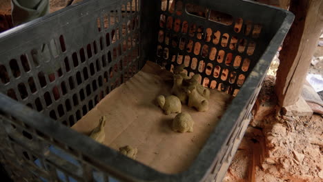artisans in thanh ha place sun-dried clay flutes in a wood oven for firing