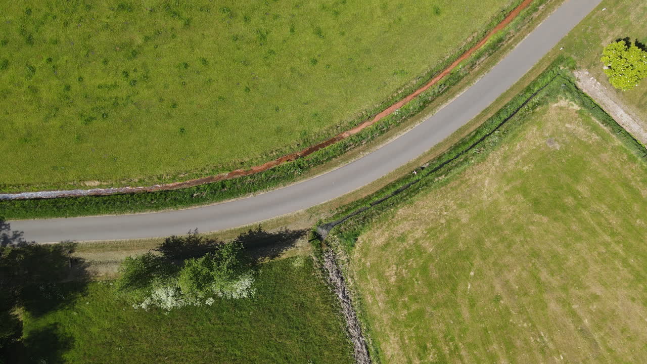 Aerial drone shot of cows on farmland.