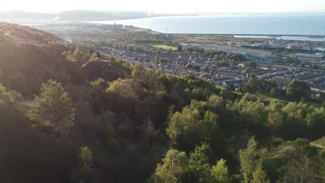 Fast-Aerial-Drone-Over-Trees-with-Coastline-Houses-and-Ocean-Bay