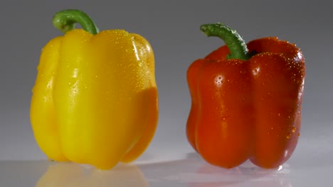 pimientos rojos, amarillos y naranjas frescos sobre un fondo blanco con gotas de agua