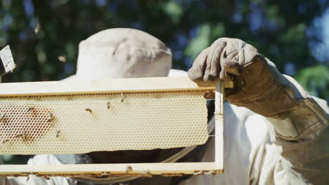 Cuida-Tu-Cera-De-Abejas