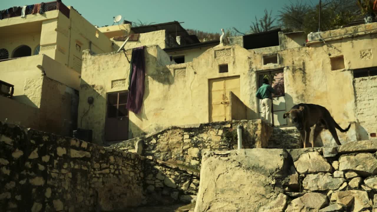 Esplorando l'India si possono trovare molti luoghi interessanti; ecco un bel momento che ho catturato di un uomo che entra in casa sua e un cane selvatico in posa nell'inquadratura.