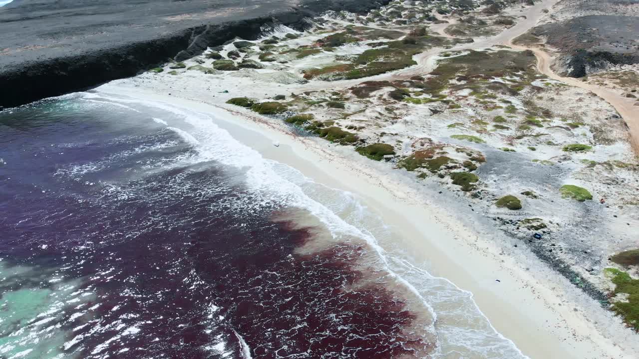 Aerial View of a Remote Beach with Dark Water and Desert Landscape