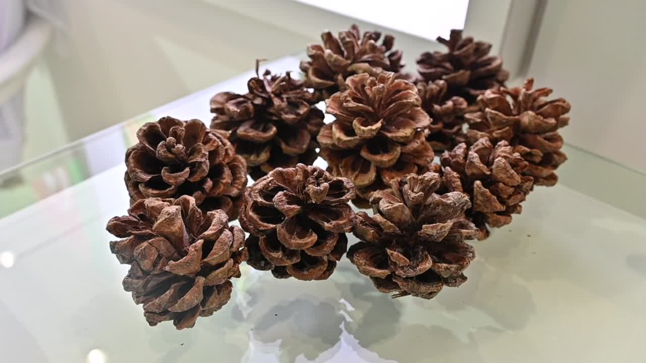 Pine nut cones are displayed during the Gulfood Exhibition in the United Arab Emirates