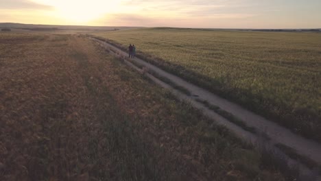 aerial view of people walking on endless rural road