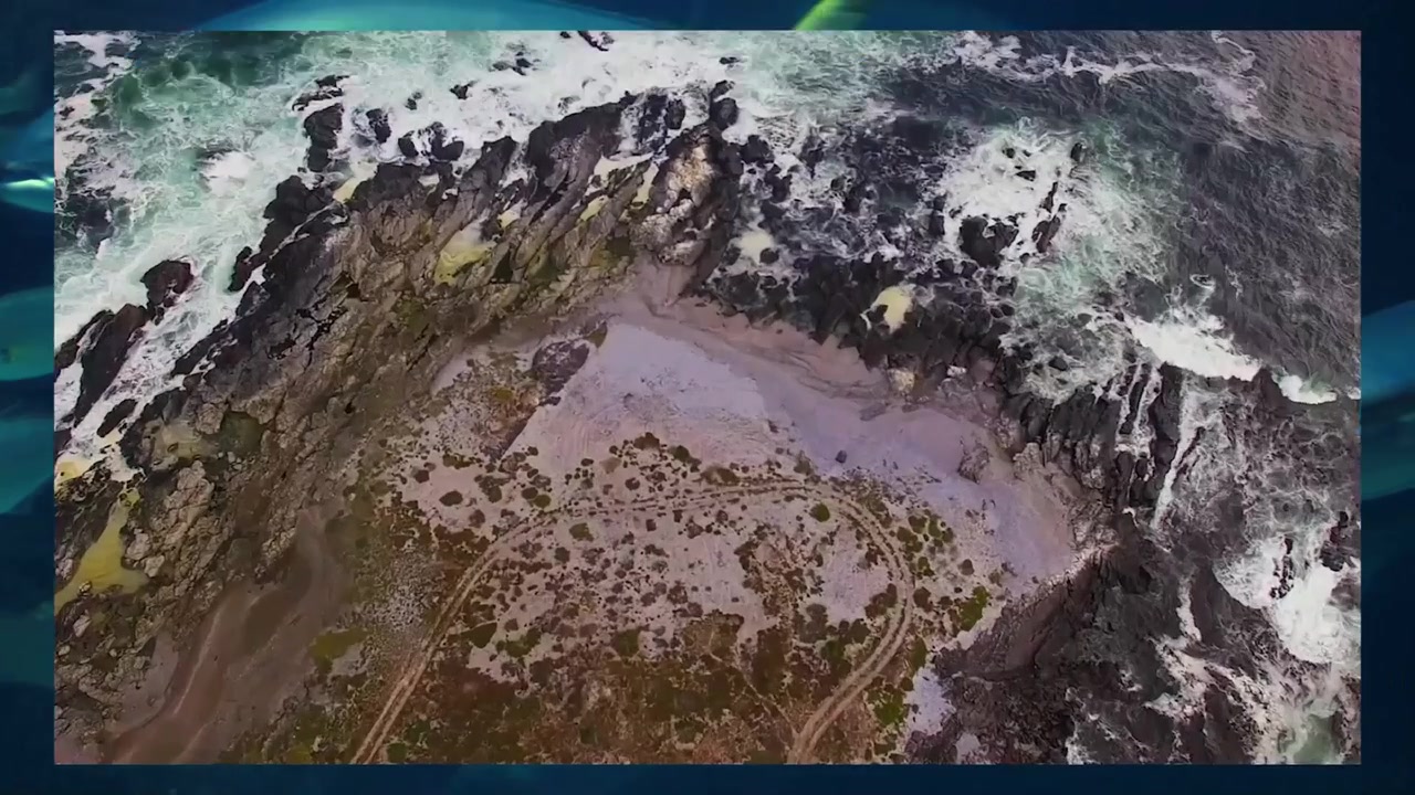 Dynamic Compilation of Ocean Waves, Beaches, and Underwater Marine Life