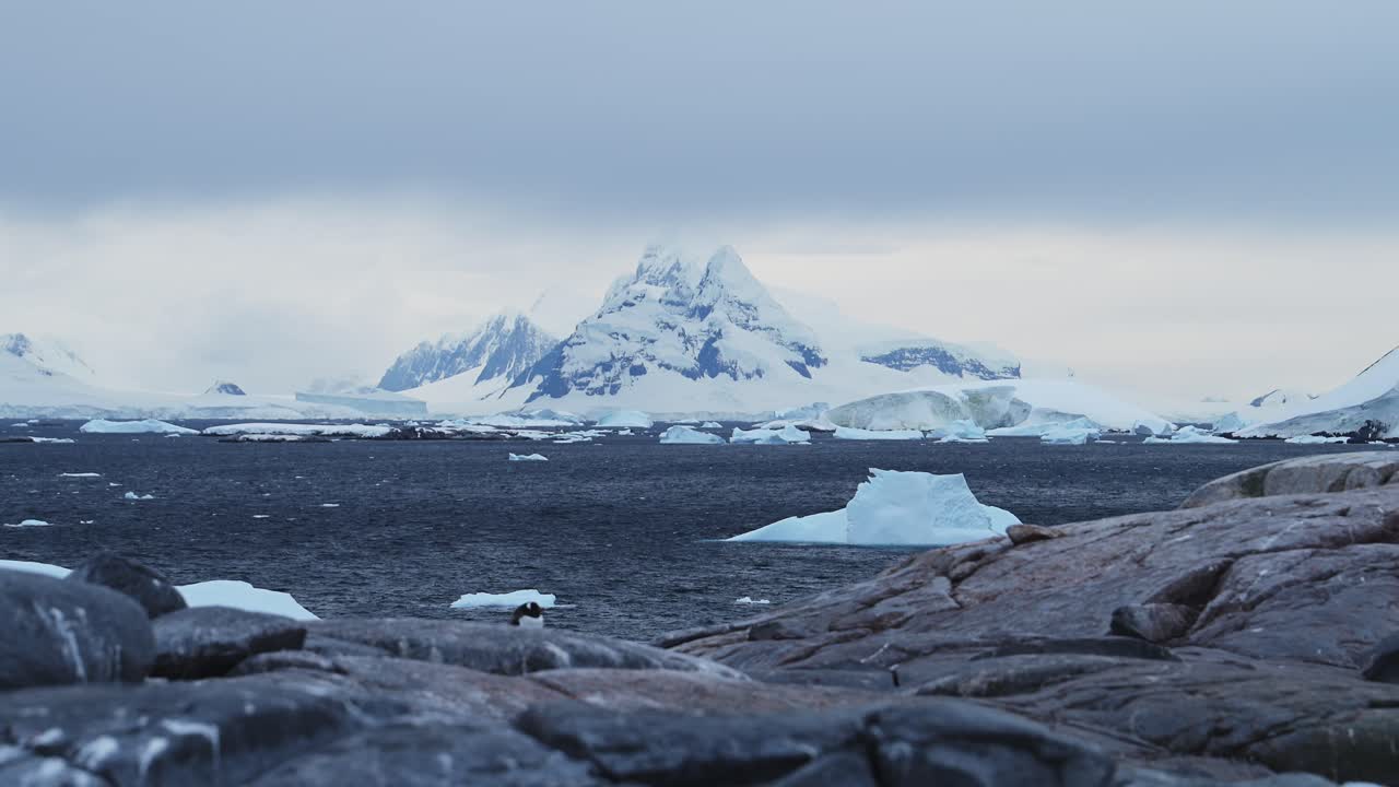 Sunset Winter Mountains and Ocean in Antarctica with Dramatic Clouds and Sky, Amazing Scenery on Antarctic Peninsula Coast, Sunset Coastal Scenery in Icy Snowy Scene in Cold Weather