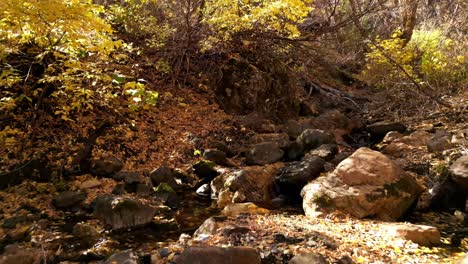 drone flying up and turning around river bed that is drying up for the autumn fall season you can see all the leaves have changed color to orange and yellow and are starting to cover forests floor