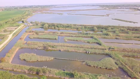 vuelo de drones sobre pantanos y campos inundados