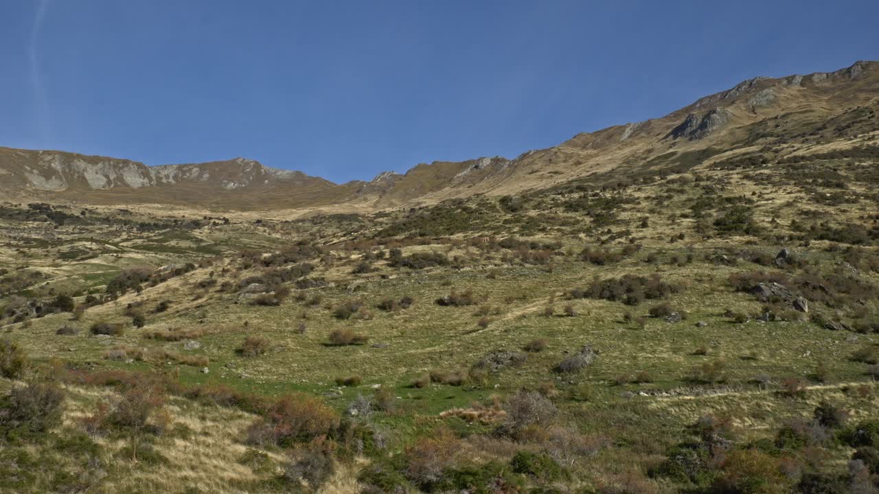 Panoramici sentieri escursionistici a Roys Peak, Nuova Zelanda - Campo largo