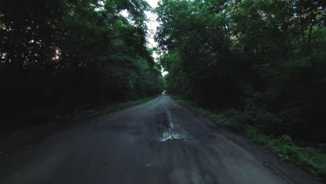 forest road