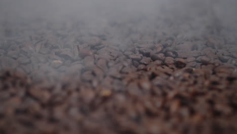 close up of seeds of coffee