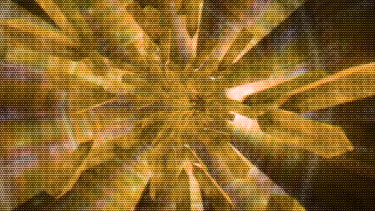 motion background showing first person point of view flying through futuristic abstract digital tunnels