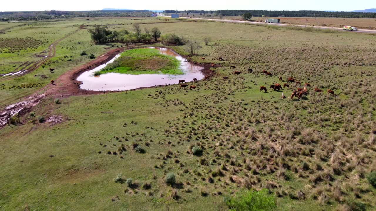 가축 농장 의 공중 전망