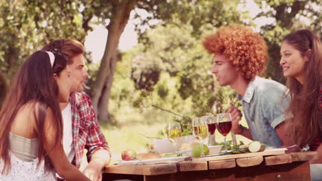 In-slow-motion-happy-friends-in-the-park-having-lunch