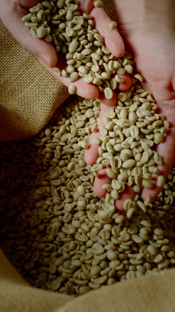 Fagioli di caffè verdi in mano